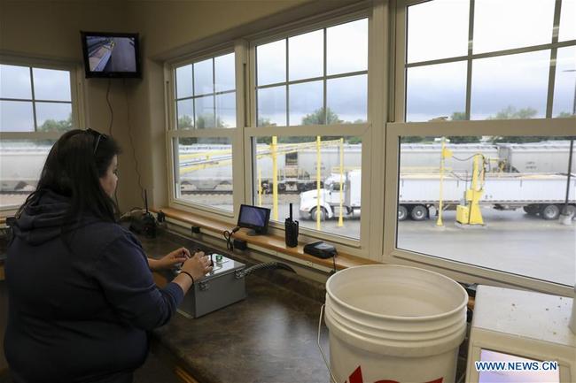 A staff worker collects sample of corn from a truck at an ethanol plant of Elite Octane, LLC. in Atlantic, Iowa, the United States, June 18, 2019. [Photo: Xinhua]