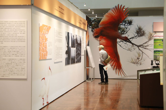 A visitor at the exhibition held in Osaka, Japan, on Wednesday, June 26, 2019. [Photo by Tu Yun/China Plus]