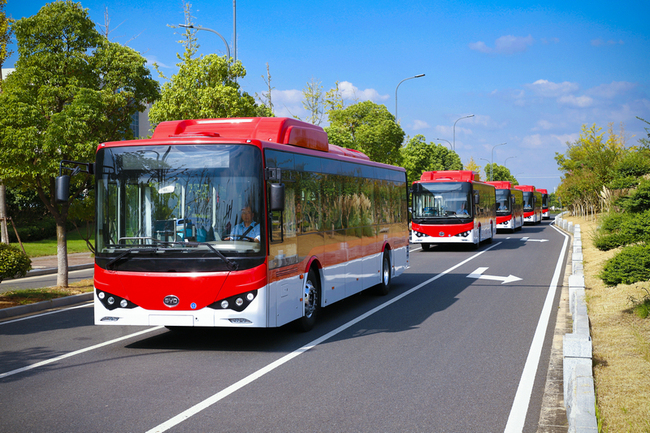 BYD electric buses on the road in Santiago, Chile. [File Photo: BYD]