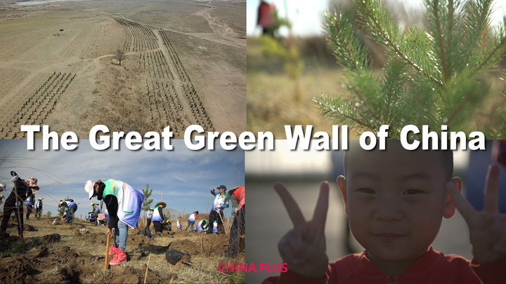 Explainer: What Is the 'Great Green Wall' of China?