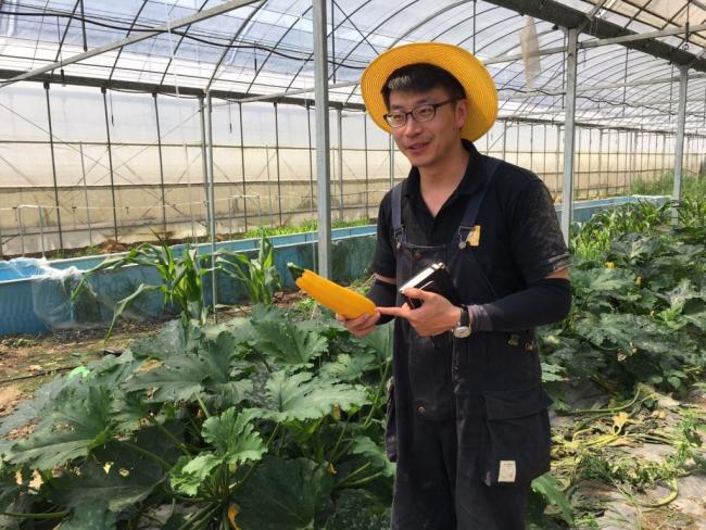 Hao Qidong introduces one of his new products, which he calls banana-zucchini, as his company is committed to contributing to China's agricultural innovation. [Photo: Chinaplus/Yin Xiuqi]