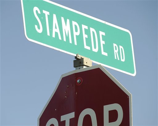 The road sign for Stampede Road is seen in Healy, Alaska on Friday, June 20, 2008. Stampede Road becomes a narrow, rutted four-wheel drive trail after eight miles from its intersection with the George Parks Highway. The road eventually leads to the bus where Chris McCandless was found dead in September 1992. [Photo: AP]