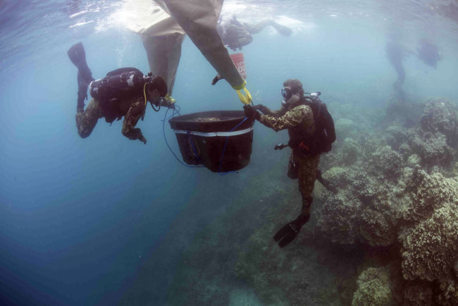Sailors help repair a damaged coral reef in Apra Harbor, Guam on June 29, 2017. [File photo: U.S. Navy via IC/Mass Communication Specialist 3rd Class Alfred A. Coffield]