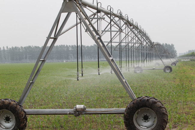 File photo shows an irrigated area in Xuchang, central China’s Henan Province, on July 8, 2015. [Photo: IC]