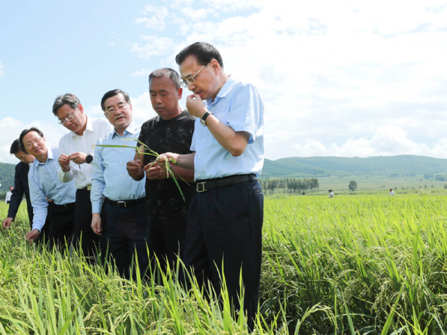 Chinese Premier Li Keqiang visits a rice-growing village in Mudanjiang city during his inspection tour in northeast China's Heilongjiang Province from Monday to Tuesday. [Photo: gov.cn]