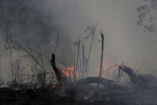 A fire burns along the road to Jacunda National Forest, near the city of Porto Velho in the Vila Nova Samuel region which is part of Brazil's Amazon, Monday, Aug. 26, 2019. [Photo: AP via IC/Eraldo Peres]