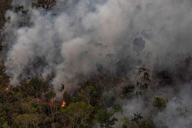 A forest fire in the Amazon near Porto Velho, Rondonia, Brazil, Aug. 26, 2019. [File photo: IC]