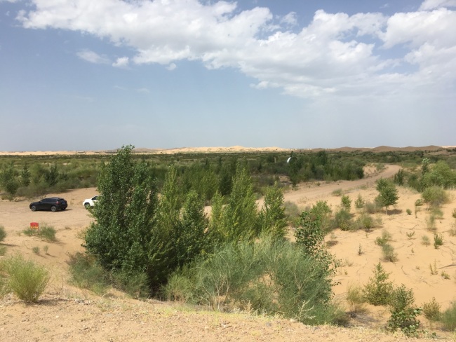 Trees and brushes were planted in the desert in the past 30 years.[Photo: from China Plus]