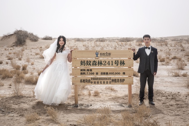 A young couple take a wedding picture at the spot where a tree will be planted as part of their commitment to a low-emission lifestyle in northwest China’s Gansu Province, April 21, 2019. The planting of the tree in forest number 241, is part of the Ant Forest scheme, which was launched on the Alipay mobile payment system, by Ant Financial of the Alibaba Group in August 2016 to encourage low-emission lifestyles in China. As of April 2019, 100 million trees had reportedly been planted, covering a total area of over 900 square kilometers, which is about the size of 130,000 soccer fields. [Photo: IC]