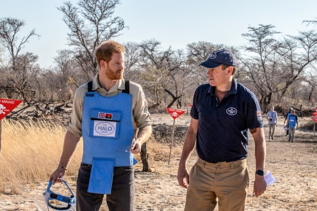 A handout photo made available by the HALO Trust shows Prince Harry (L), Duke of Sussex, visiting the minefield in Dirico, Angola on September 27, 2019. [Photo: AFP]
