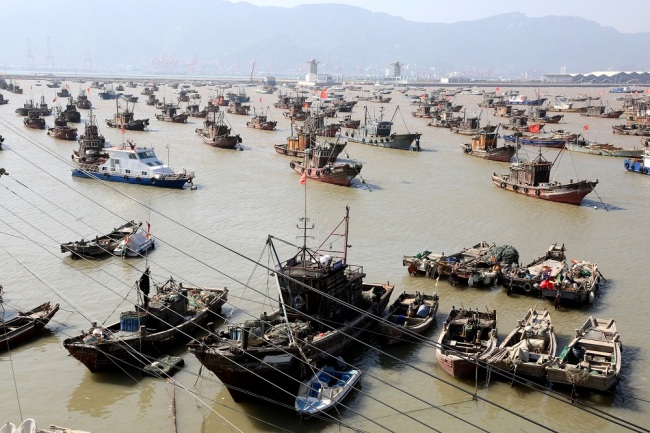 Thousands of fishing boats return to harbor to avoid potential damages from Typhoon Tapah in Lianyungang city, east China's Jiangsu province. [File Photo: IC]