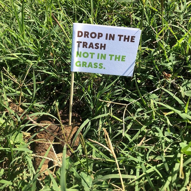 This undated photo shows the flag in the piles of dog poop in the city of Springfield, Missouri. [ Photo credit to  Springfield, MO Police Department]