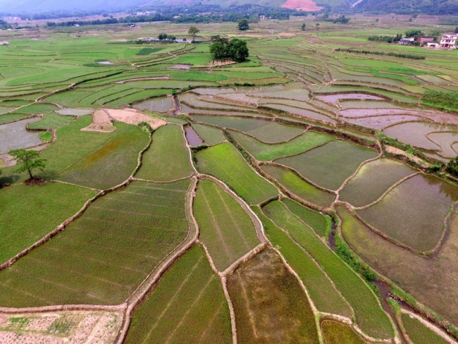 Aerial view of farmland at Quanzhou county in Guilin city, south China's Guangxi Zhuang Autonomous Region. [File Photo: IC]