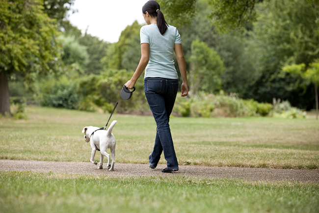 File photo shows a woman walking her dog. [Photo: VCG]