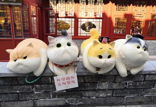These are the cat statues near the Palace Museum Online Shopping Gallery in Beijing, seen here on Monday, October 28, 2019.  [Photo: VCG]