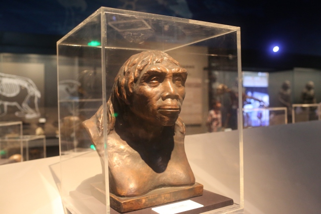 A bust of the famed "Peking Man" constructed from the fragments of skulls found in Zhoukoudian in suburban Fangshan district in Beijing.[File Photo: VCG]
