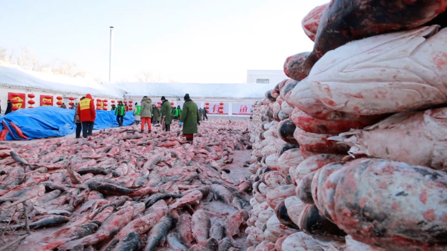 Frozen fish stacked in hill ready to be sold at an open-air market. [Photo: CGTN]