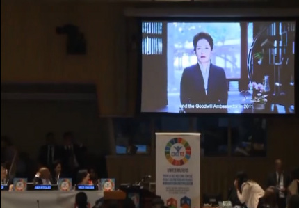 彭丽媛在第七十三届联合国大会防治结核病问题高级别会议开幕式上发表视频讲话