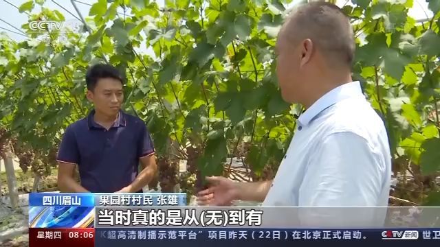 Vesnice také pomohla Zhang Xiongovi a dalším vesničanům v požádání o půjčku, aby zvětšili rozsah výsadby. V zájmu zvýšení kvality průmyslového odvětví, vesnice Guoyuan silně zlepšovala silniční síť a půdní stav, zatímco zavedla do vesnice vysoké druhy. Doposud pěstuje vesnice Guoyuan už více než 200 druhů hroznů. Díky úsilí vesnického výboru, mnoho vinic uvedlo také technologie biologické prevence a kontroly a organického pěstování, tím se rozvíjely na venkovský rekreační park, který zahrnuje zemědělství, výlety a sbírání. Návštěvníci vesnice Guoyuan uvedli, že zdejší hrozny mají tenkou slupku, a jsou šťavnaté a sladké.
