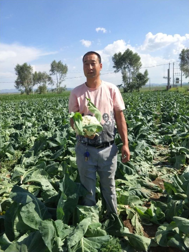 Na snímku je pan Zhou Zhi ve své poli květáků. / China Plus