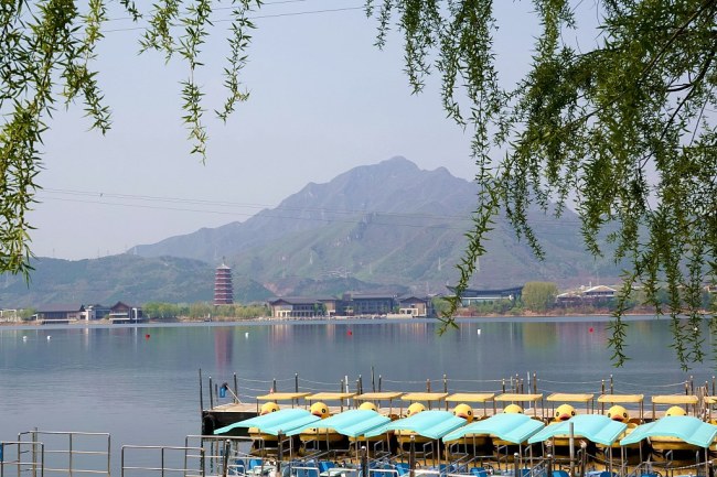 Na snímku jsou dračí lodě na jezeře Yanqi. Fotografie: VCG