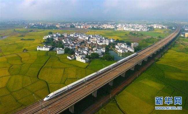Guangxi : quand le TGV traverse les champs