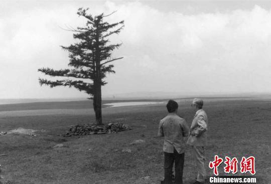 Saihanba, au nord du Hebei, était autrefois une bande de désert. Comme ce lieu se trouve sur un plateau dans une zone extrêmement froide, il n’était pas approprié pour la culture des arbres. En février 1962, le domaine forestier de Saihanba, dépendant directement du Ministère des Forêts, a été créé. En 50 ans, et depuis 2 générations, les travailleurs de Saihanba cultivent des forêts artificielles de 1,12 million de mus sur une superficie totale de 1,4 million de mu. Le volume total d’arbres atteint 10,12 millions de mètres carrés. Ils ont créé un miracle en transformant ce terrain en une mer de forêt, un désert en une oasis. Aujourd’hui, Saihanba fournit 137 millions de mètres cubes d’eau pure et 550 000 tonnes d’oxygène à Beijing et Tianjin. 