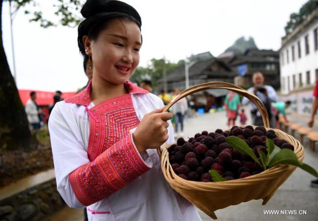 Des personnes se préparent à évaluer les fraises chinoises (yangmei) lors du festival des fraises chinoises dans le village de l'ethnie Miao de Gaowen à Rongjiang, district de la province chinoise du Guizhou (sud-ouest), le 3 juin 2018. Un festival des fraises chinoises s'est déroulé dimanche à Rongjiang. (Photo : Wang Bingzhen)