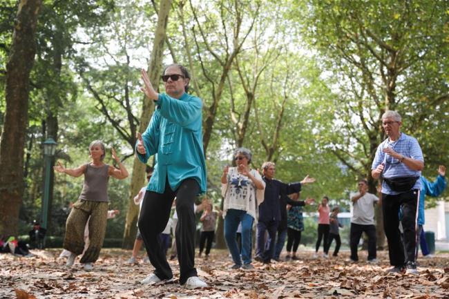 Des habitants locaux apprennent le tai-chi au parc du Cinquantenaire à Bruxelles, en Belgique, le 21 août 2018. Depuis mai, tous les mardis et vendredis après-midi, des dizaines d’amateurs de tai-chi suivent un cours de tai-chi gratuit dans le parc.