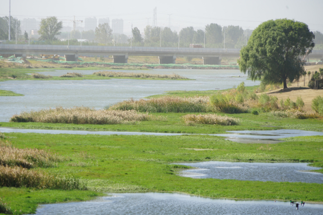 Le paysage écologique du canal de Guying de Huiji (photographe : Fu Rui)