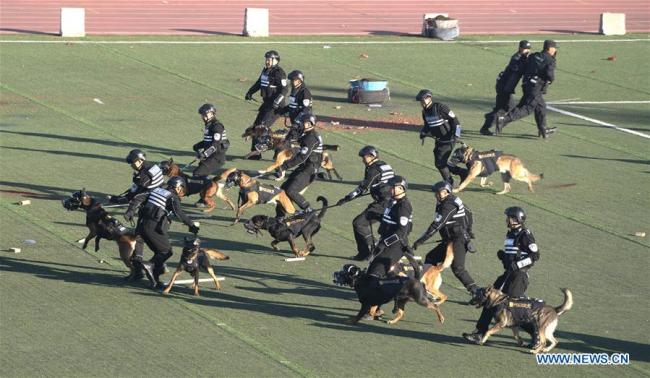 Des entraîneurs et leurs chiens participent à un concours national de compétences à Beijing, capitale chinoise, le 16 novembre 2018. Le concours s'est achevé vendredi. (Photo : Cai Yang)