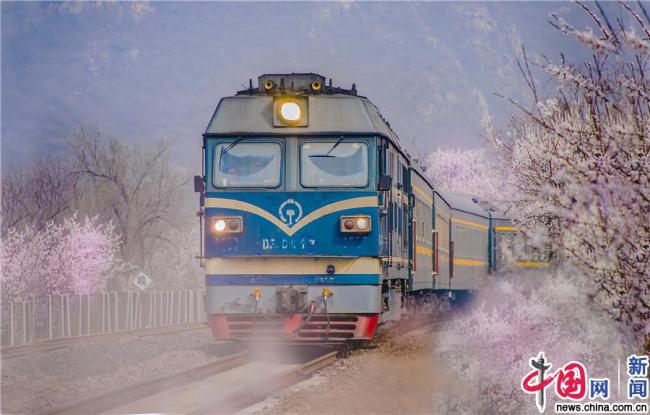 Beijing : « les trains qui roulent vers le printemps » font le buzz sur Internet