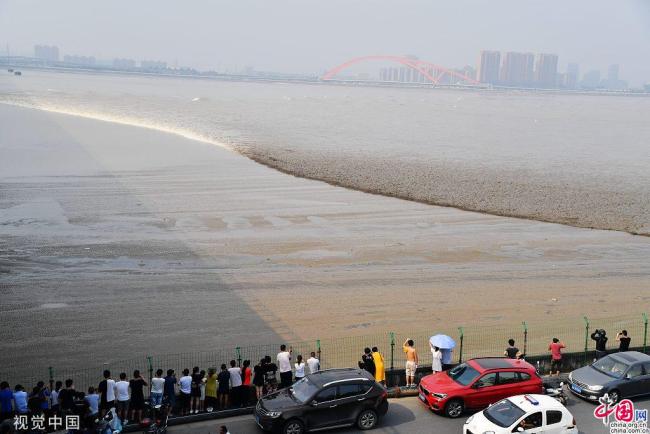 Hangzhou : le mascaret impressionnant de la rivière Qiantang