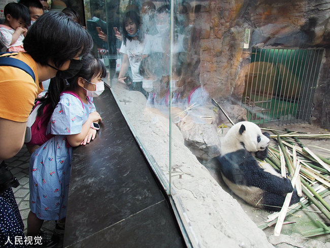 Réouverture des zones d'exposition intérieures du zoo de Beijing