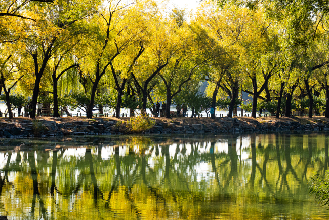 Paysage d'automne au Palais d'été à Beijing
