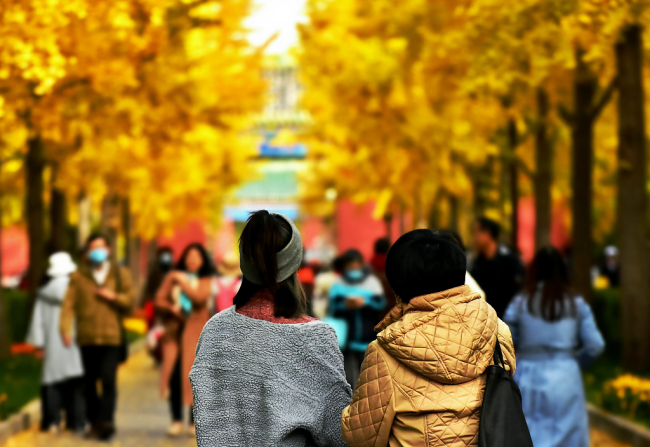 La capitale chinoise est entrée dans la période de sa meilleure saison pour la beauté de ses paysages. En automne, Beijing s’habille d’un manteau aux mille couleurs, offrant aux visiteurs des vues splendides. 