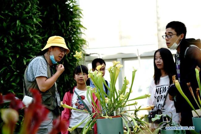 Τουρίστες παρατηρούν εντομοφάγα φυτά στον Βοτανικό Κήπο της Σαγκάης στην ανατολική Κίνα, 11 Οκτωβρίου 2020. Περισσότερες από 250 ποικιλίες εντομοφάγων φυτών παρουσιάστηκαν στο κοινό κατά τη διάρκεια της 2ης Έκθεσης Εντομοφάγων Φυτών. (Xinhua / Zhang Jiansong)