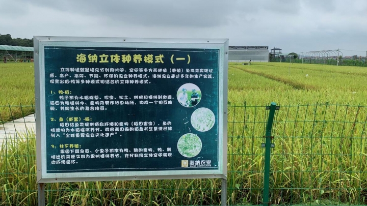 Agricultura moderna orienta rejuvenescimento de Guangdong