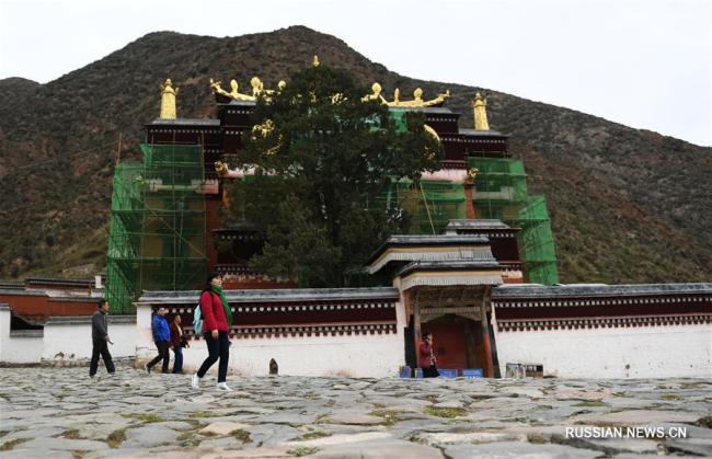За 5 лет в монастыре Лабранг отреставрировано 12 храмов 
