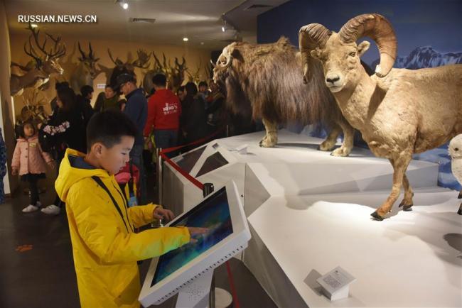 В Китае открылся Музей естественной истории Беринга