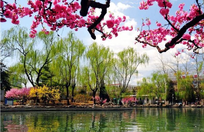 Весна в Пекине
