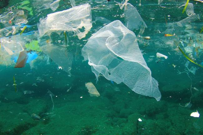 Для полной реализации запрета на использование пластиковых пакетов необходимо участие всего общества