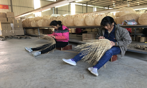 Доходы крестьян города Гуйган Гуанси-Чжуанского автономного района выросли благодаря съедобному бамбуку и техникам государственного нематериального наследия