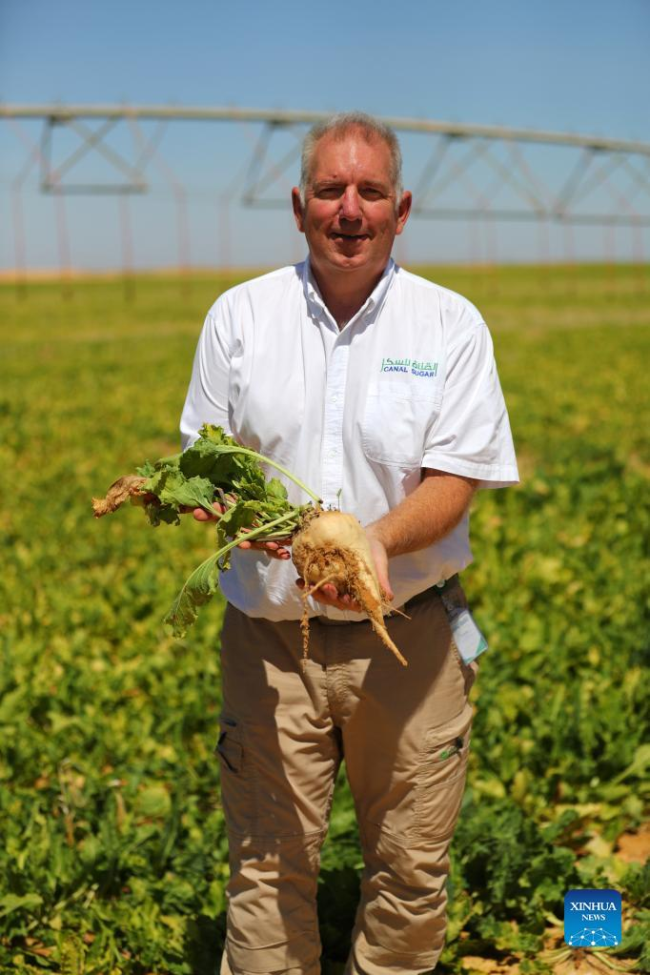 Aaron Baldwin, menaxher i përgjithshëm i bujqësisë i Canal Sugar, një ndërmarrje e përbashkët 1 miliardë dollarëshe midis Egjiptit dhe Emirateve të Bashkuara Arabe (EBA), pozon për një foto me një panxhar në një plantacion panxhari në një shkretëtirë të provincës Minya, Egjipt më 11 korrik 2022.
