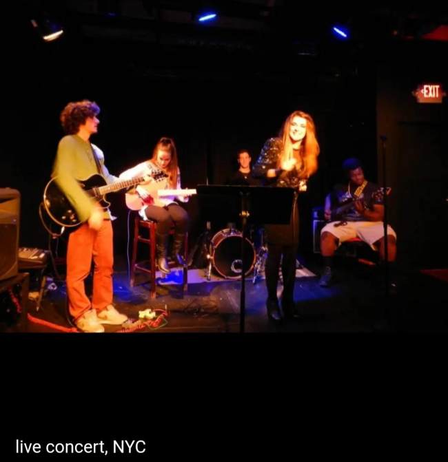 Luka Hajdini ne koncert live ne New York (Foto nga Instagrami)