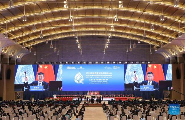 Η Διακήρυξη του Κουμίνγκ υιοθετείται στο τμήμα υψηλού επιπέδου του πρώτου μέρους της 15ης συνάντησης της Διάσκεψης των Μερών στη Σύμβαση για τη Βιοποικιλότητα (COP15) στο Κουνμίνγκ, επαρχία Γιουνάν της νοτιοδυτικής Κίνας, 13 Οκτωβρίου 2021. (φωτογραφία / Xinhua)