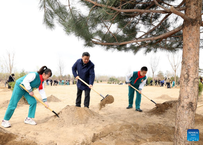 Ο Κινέζος πρόεδρος Σι Τζινπίνγκ ενώ φυτεύει ένα δέντρο κατά τη διάρκεια μιας δραστηριότητας δενδροφύτευσης στην περιοχή Ντασίνγκ του Πεκίνου, πρωτεύουσα της Κίνας, στις 30 Μαρτίου 2022. (φωτογραφία/Xinhua)