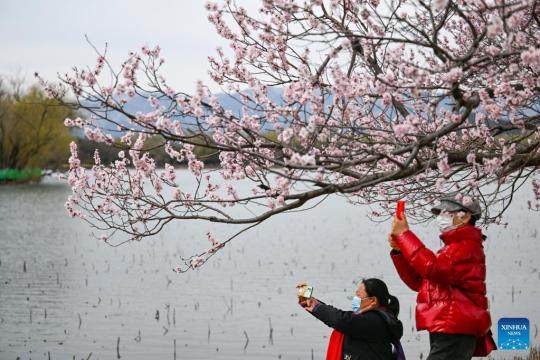 Επισκέπτες στο Θερινό Παλάτι στο Πεκίνο, 19 Μαρτίου 2022. (Φωτογραφία/Xinhua)