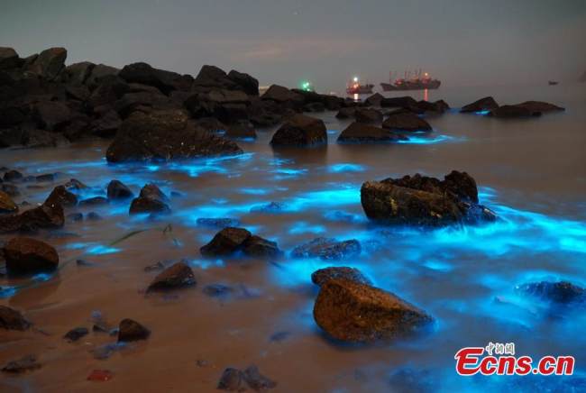 «Μπλε δάκρυα» φωτίζουν τα νερά στις ακτές του νησιού Πινγκτάν στην επαρχία Φουτζιάν της νοτιοανατολικής Κίνας, στις 11 Απριλίου 2022. (Φωτογραφία/VCG)