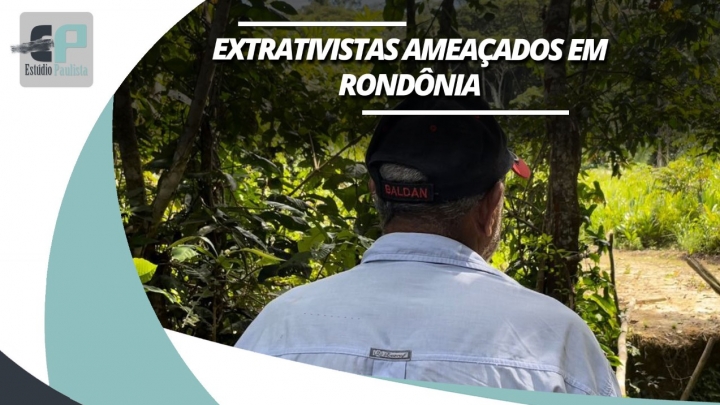 Roubo de madeira, grilagem e projeto de usina ameaçam extrativistas em Rondônia